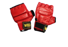 Шингарты для единоборств