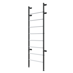 Шведская стенка под рукоход